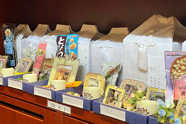 ���̲�������